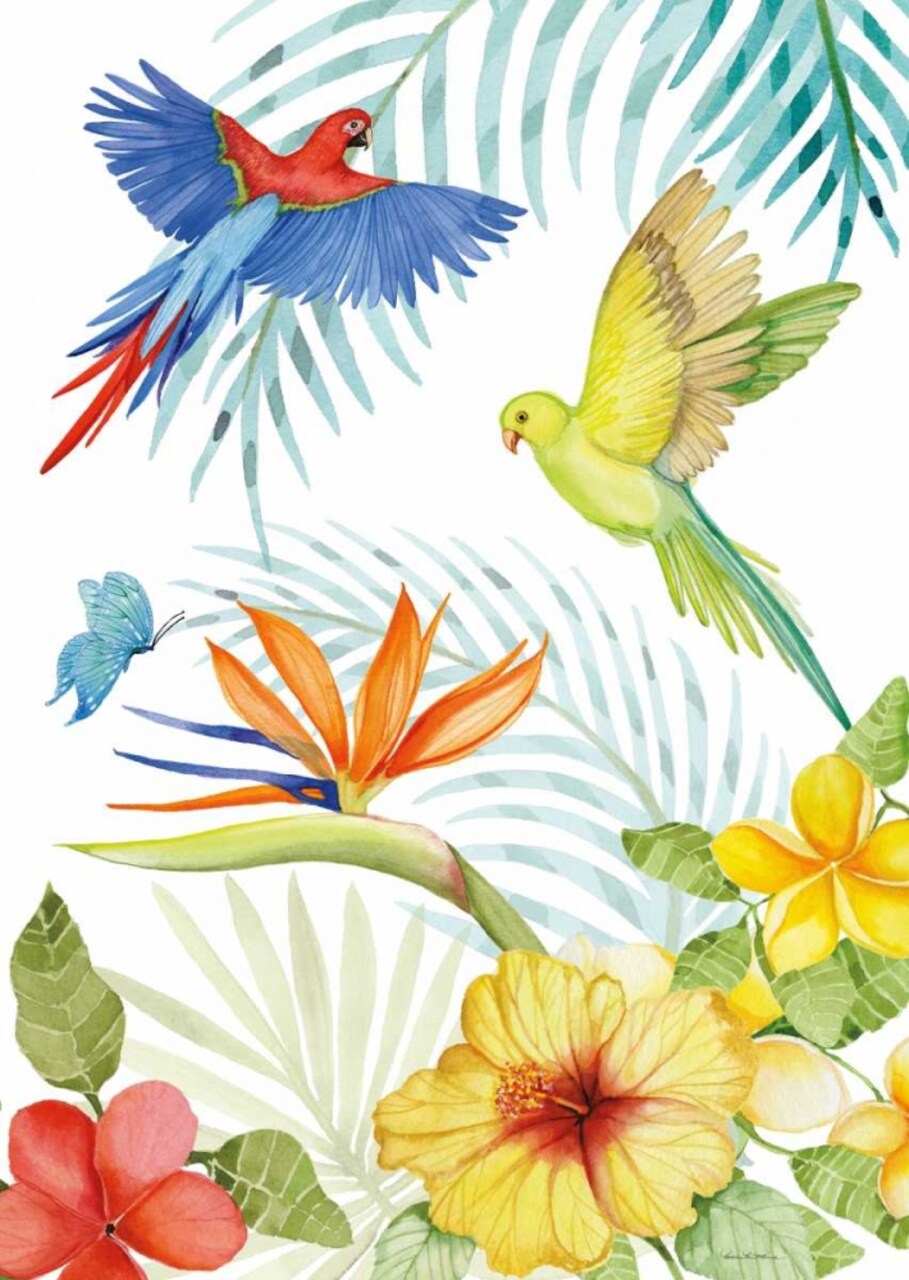 Treasures of the Tropics II Poster Print by Kathleen Parr McKenna - Item # VARPDX34245HR
